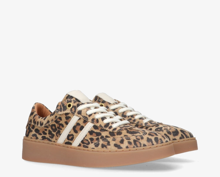 Nynke 1 -M Leopard