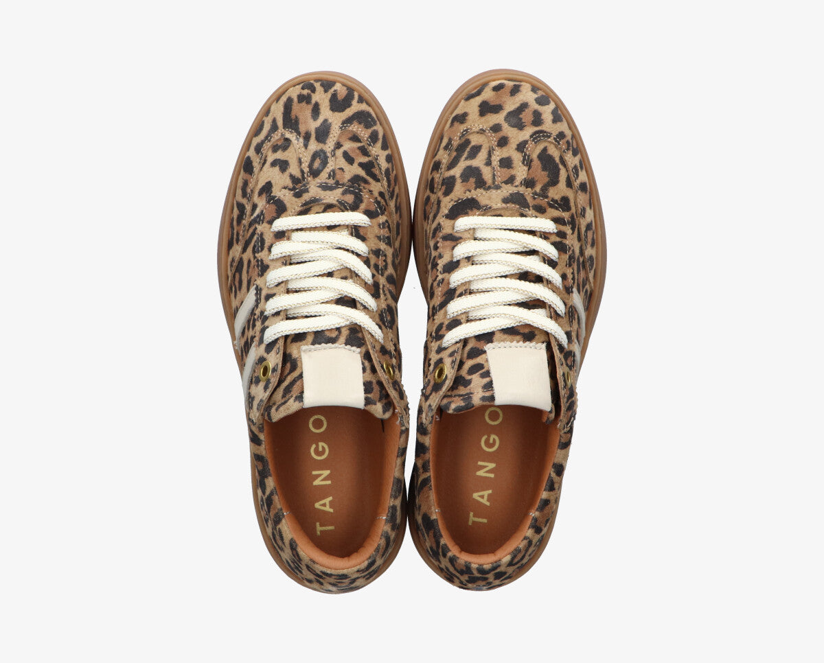 Nynke 1 -M Leopard