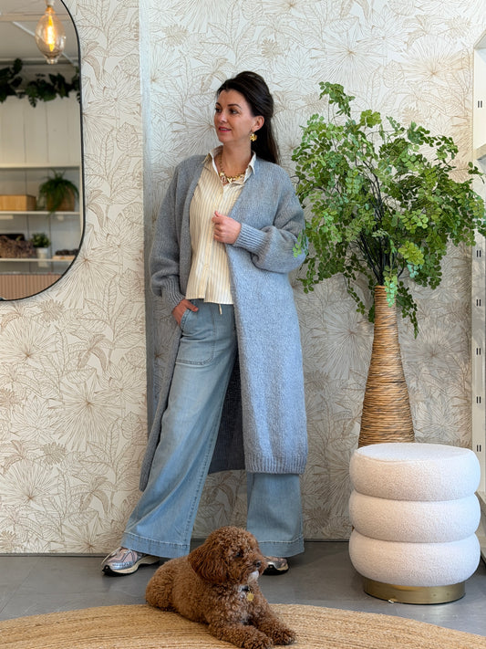 AFTERNOON VEST - Blauw