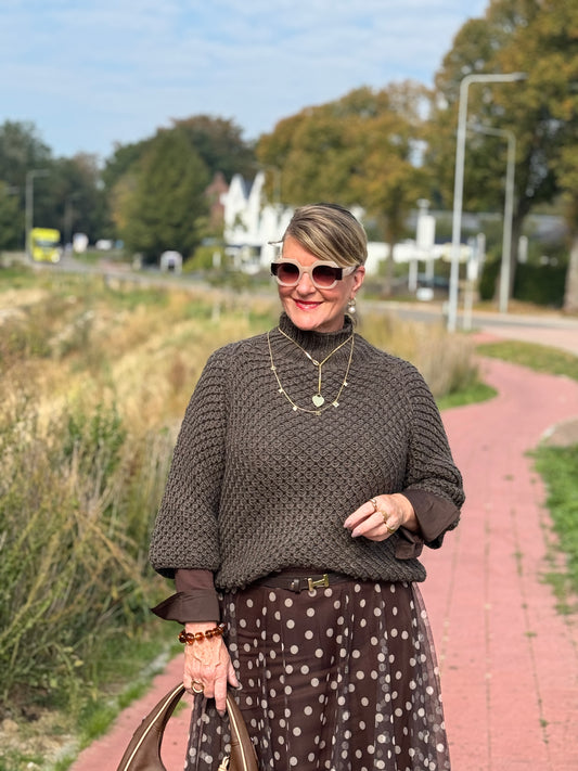 ALINA Trui - Bruin