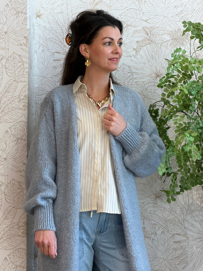 AFTERNOON VEST - Blauw