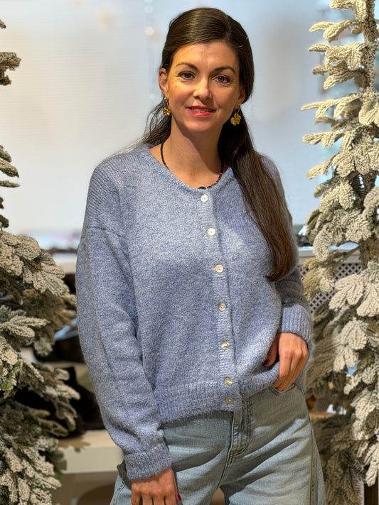 LILI VEST - Licht Blauw