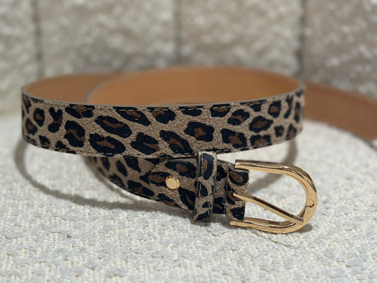 LEOPARD Riem