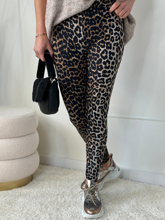 Leopard Legging